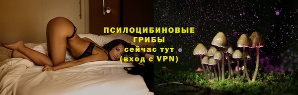 стафф Белоозёрский