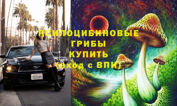 СК Беломорск