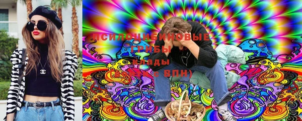 СК Беломорск